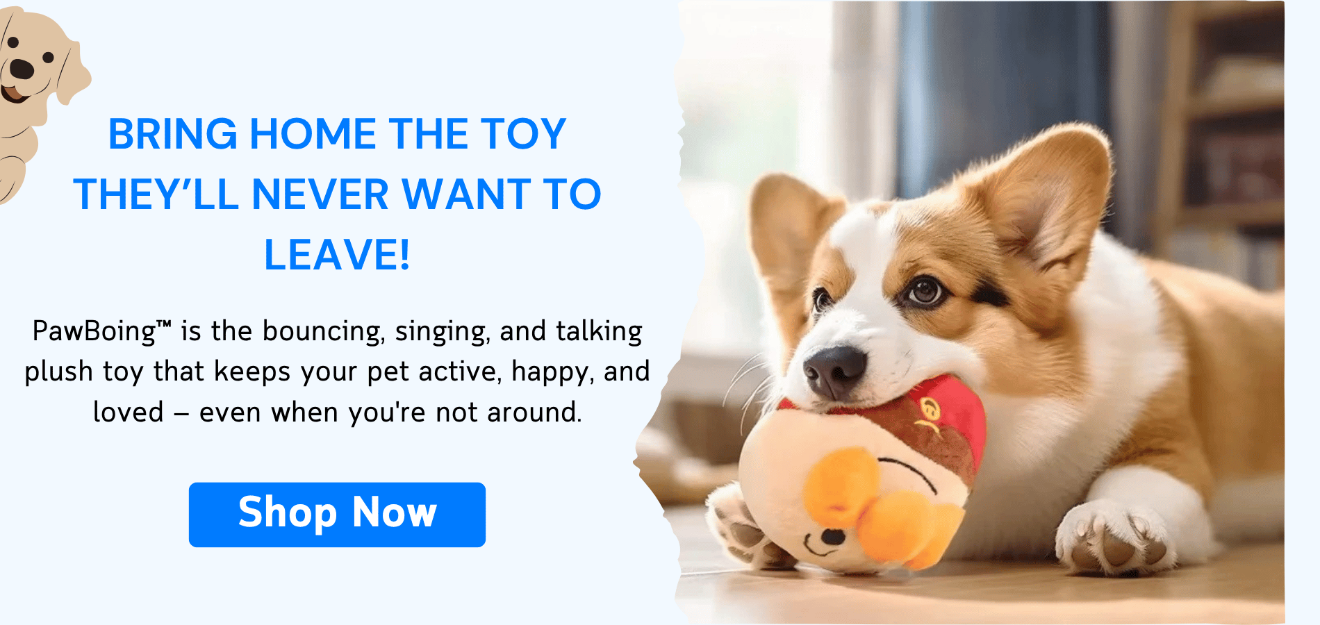 slider image 1621243260e1af0c20-0